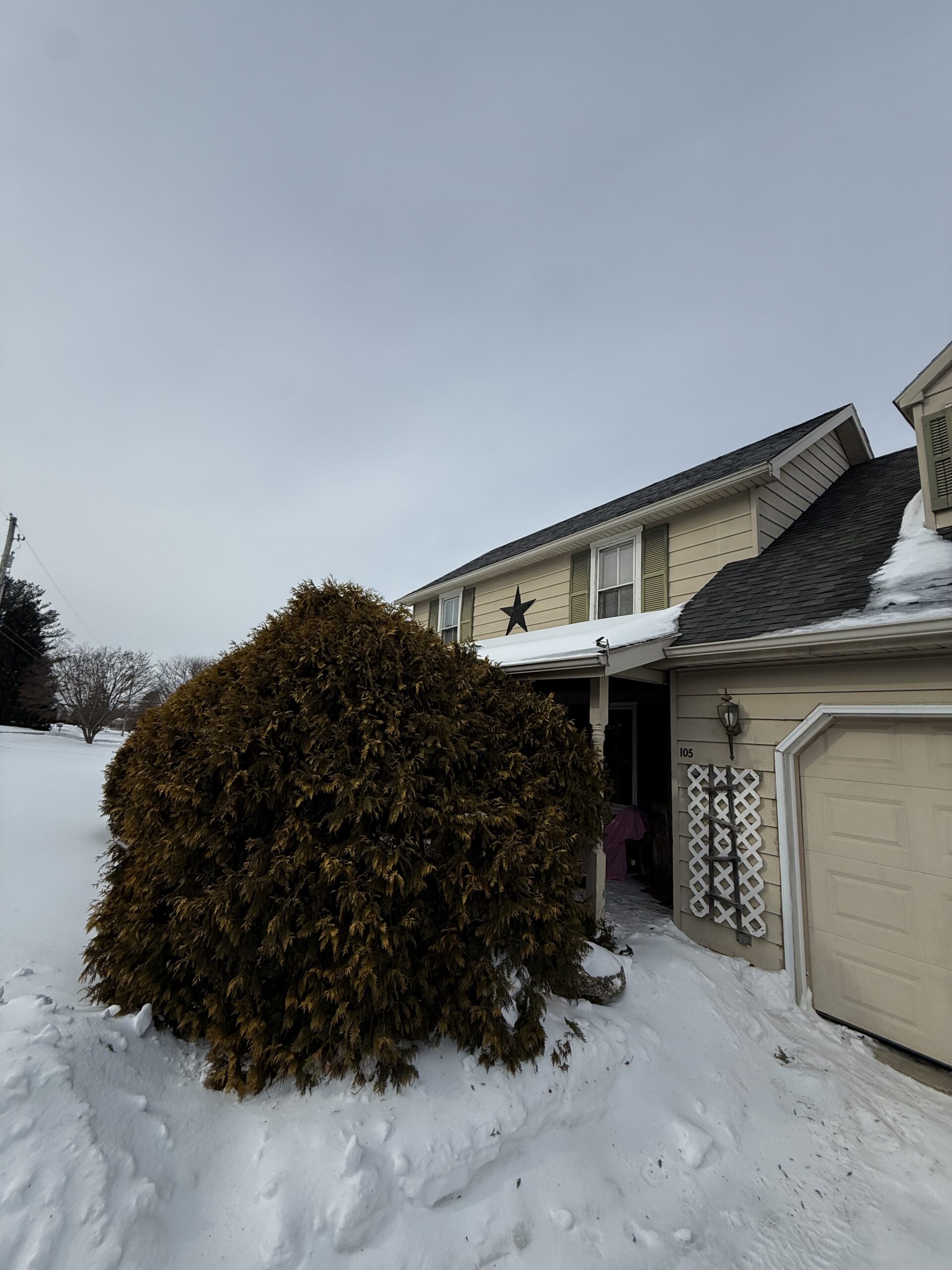 Two story house with an attached garage and a large shrub in the snow in Stockbridge